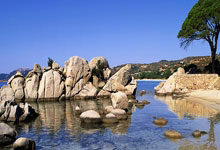 柯蓝在天涯情感论坛上的情感冒险